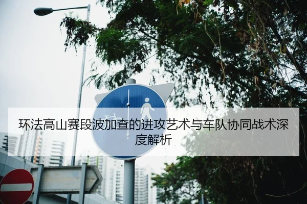 环法高山赛段波加查的进攻艺术与车队协同战术深度解析